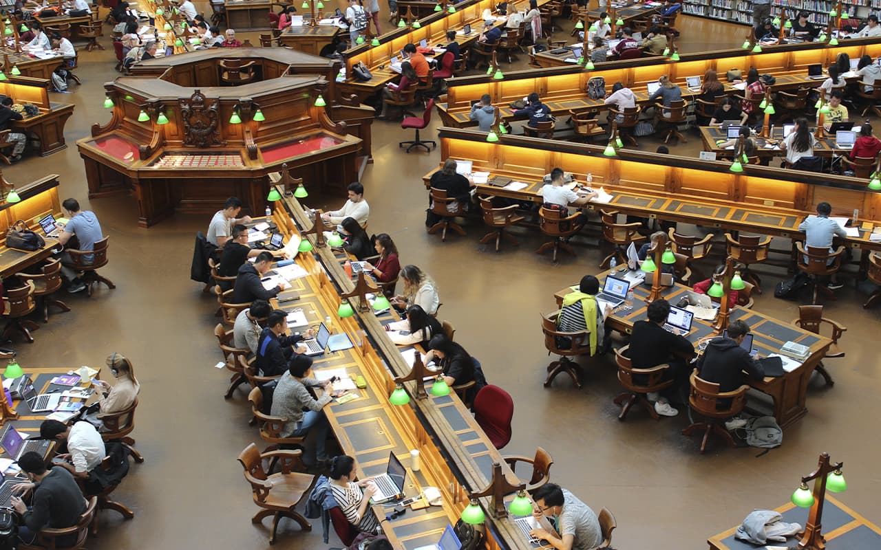 About our library